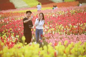 “My photo”竟然不是“我自己的照片”，别再说错了图片