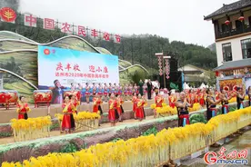 庆丰收 迎小康——四川省达州市举行2020年中国农民丰收节活动图片