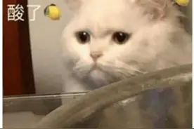 三小时3对情侣开豪车来珠海丢12分！车都开不回去！破了纪录图片