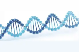 当基因可以编辑，可以为人类带来什么？图片