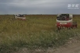 中国制造！中国联合收割机通过哈萨克斯坦测评视频封面