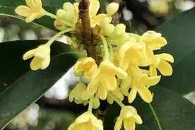 连续10天阴雨终于要结束啦！接下来杭州有个大惊喜，你准备好了吗图片