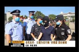 全民反诈：以爱为名行骗，“杀猪盘”团伙被端图片
