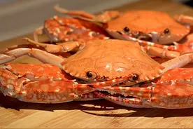 秋分到：食蟹的好时节，吃它有讲究你懂吗？图片