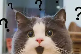 车停别人车位被锁，竟要2000元”开锁费”？！杭州男子一招脱身，第二天傻眼了图片