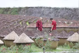 成渝双城记 川南新动力 | 壮观！带你探秘国家级非遗先市酱油是怎么酿造出来的视频封面