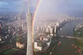 霓虹为何不见霓图片