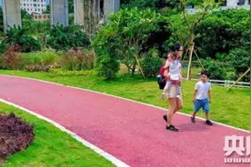 广州白云区年底将完成200公里碧道慢行系统建设图片