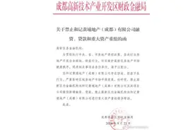 李嘉诚成都公司捂地倒手赚38亿，被禁止融资贷款图片