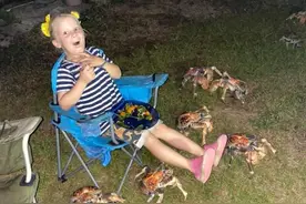 现场！澳大利亚一家人正露天烧烤 52只巨型螃蟹来抢吃的图片