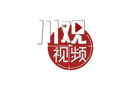 视频 | 有趣！一条蝴蝶标本项链是这样制作的图片