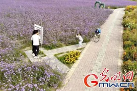 甘肃白银：美丽乡村催开致富花 贫困户吃上“旅游饭”图片