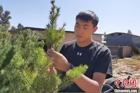 毛乌素沙漠祖孙三代治沙人：愿做扎根沙漠的一棵树图片