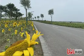 玩转滹沱河攻略来了！河北石家庄滹沱河生态修复一期、二期工程“十一”开放图片