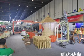 丰收探展！南京这场农博展汇聚全国农业最新成果图片