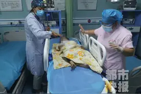 再敲警钟！妈妈下楼取快递，西安3岁女童爬窗4楼坠下图片