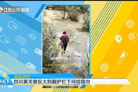 危险！在四川黄龙景区游玩时围巾掉入河中，大妈竟翻桥下河去捡视频封面