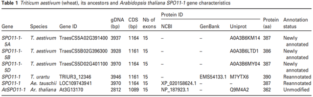鑸舵潵璧忔瀽锝滀袱绡嘝J鏂囩珷瑙ｆ瀽TaSPO11-1鍜孴aSPO11-2鐨勮繘鍖栧強瀵瑰皬楹﹀噺鏁板垎瑁傞噸缁勭殑褰卞搷
