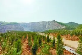 建设可持续发展的“绿色银行”图片