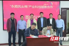 “永顺凤头鸭”引来专家云集图片