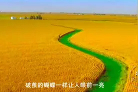 百度百家号推出自制栏目《丰年中国》讲述中国大地丰收奇迹图片