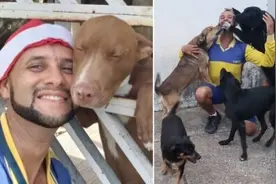 巴西一邮递员因与动物交朋友而出名图片