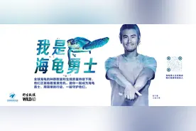 海龟种群数量持续下降，演员彭于晏呼吁公众参与海龟保护图片