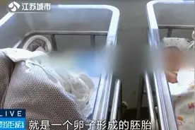 最萌年龄差的双胞胎：哥哥弟弟时隔六年相见图片