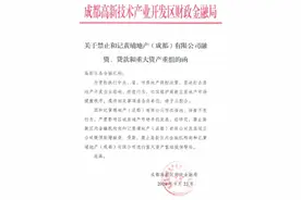 成都和记黄埔“被禁”：李嘉诚囤地16年转手赚38亿元图片