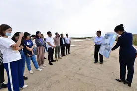 中国梦·黄河情｜黄河三角洲保护区：人工筑巢，给世界濒危鸟类一个安稳的家图片