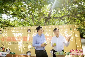 淘小铺上的丰收节：1天卖10万斤河南酥梨图片