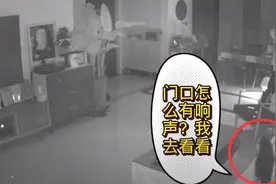 小偷进家门，济南这只猫仿佛一个监工，淡定看着窃贼偷家图片