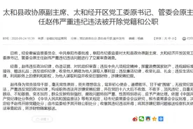 太和县政协原副主席赵伟严重违纪违法被开除党籍和公职图片