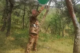 山东临朐退役军人许法亮：坚守大山护绿15年图片