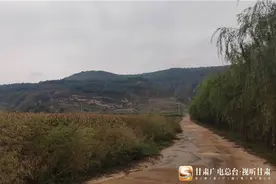 甘肃平凉：护一河清 育一方人 美一座城图片