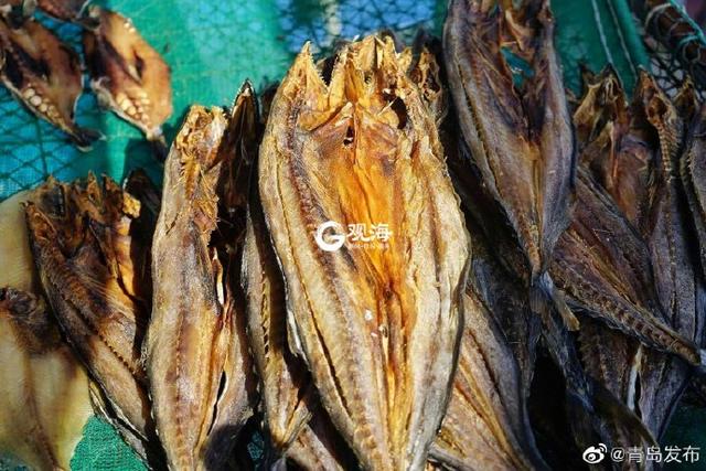 马鲛鱼鱼干 2025年马鲛鱼鱼干的做法大全