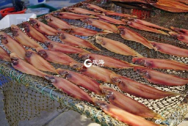 马鲛鱼鱼干 2025年马鲛鱼鱼干的做法大全