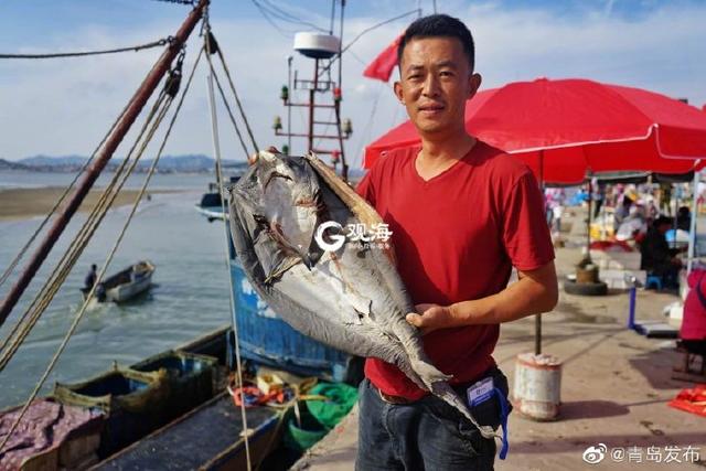 马鲛鱼鱼干 2025年马鲛鱼鱼干的做法大全