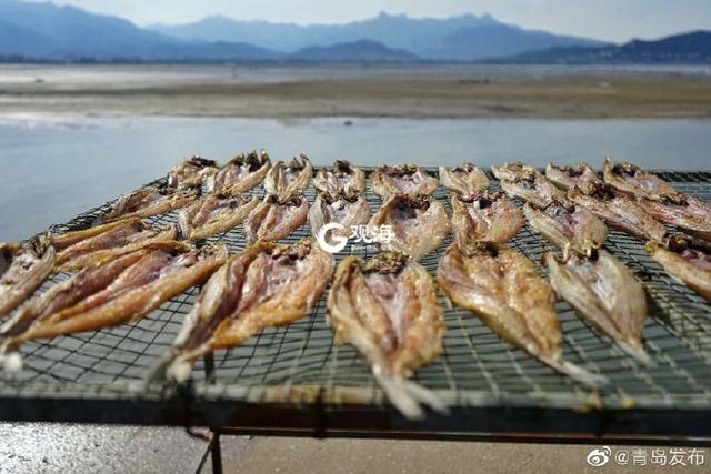 马鲛鱼鱼干 2025年马鲛鱼鱼干的做法大全 马鲛鱼鱼干 2025年马鲛鱼鱼干的做法大全