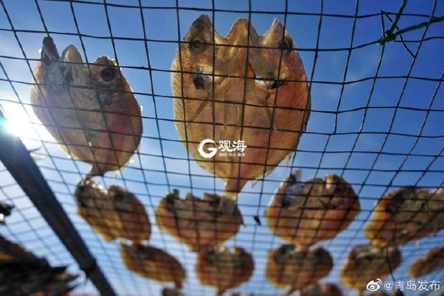 马鲛鱼鱼干 2025年马鲛鱼鱼干的做法大全