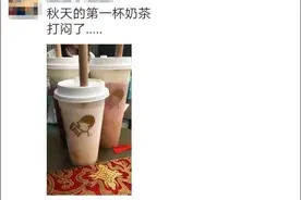 “秋天的第一杯奶茶”是什么热梗？团团给它降降温图片