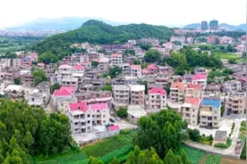 福建南安：绘就乡村振兴的多彩画卷图片
