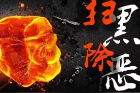 沪上涉黑大案宣判，政法委书记法院院长充当保护伞图片