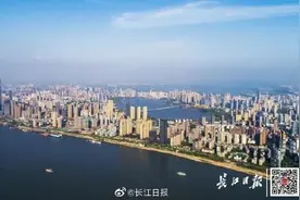 武汉企业100强名单公布！都是领军企业，快来看看有没有你的东家图片