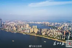 武汉企业100强名单公布！都是领军企业，快来看看有没有你的东家图片