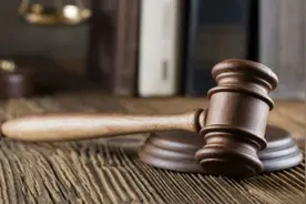 亢龙太子及其法人宋红玉被限制高消费图片