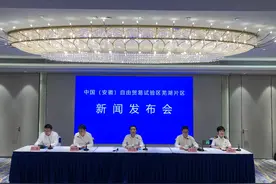 安徽自贸区芜湖片区总体情况发布 规划6个功能区图片