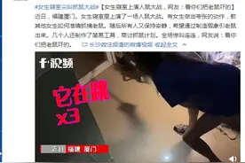 女生寝室上演人鼠大战，网友：看你们把老鼠吓的图片