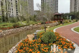 「走进我们的幸福小康」哈市香坊区年底完成棚改历史遗留项目图片