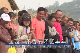 山西：茶香安泽话丰年